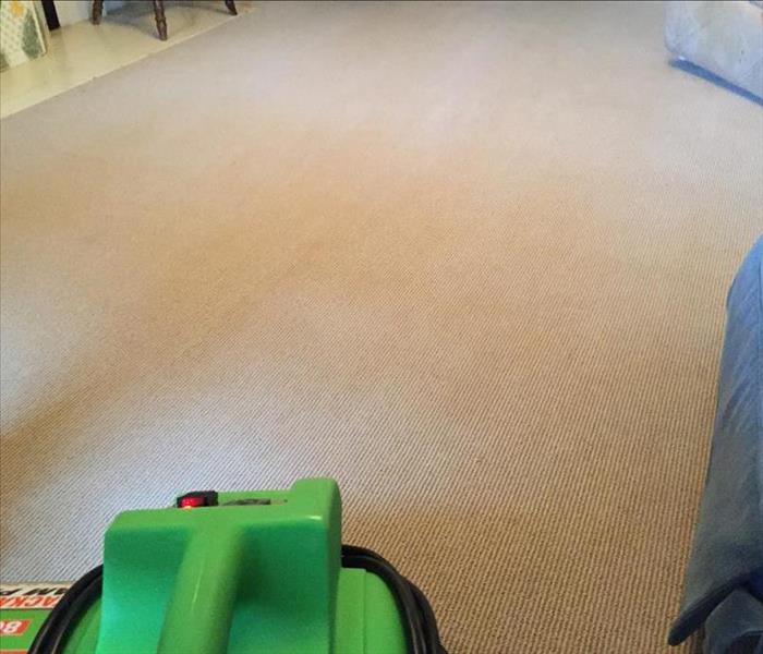 After SERVPRO carpet cleaning photo