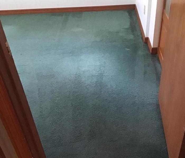 Carpet cleaned by SERVPRO 