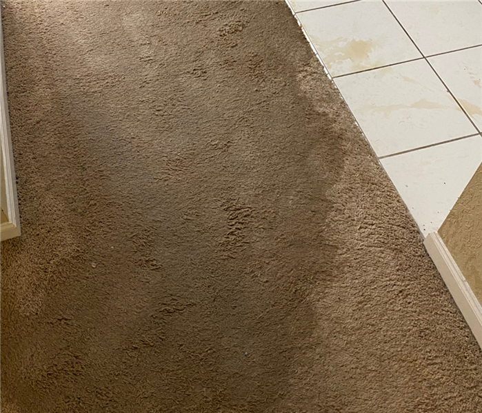 Here is a picture of a water loss that had soaked into the carpet of the home. 