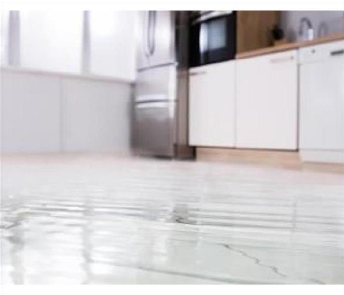 Standing Water in a kitchen