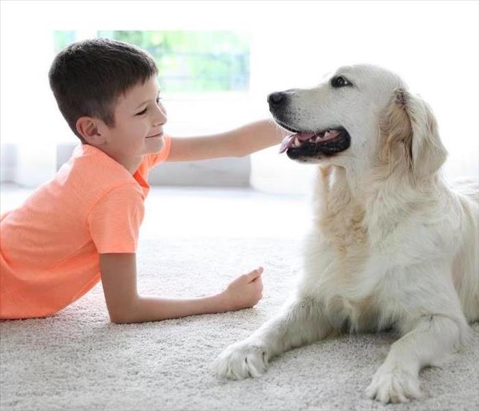 Young boy laying on a white carpet with a golden retriever dog