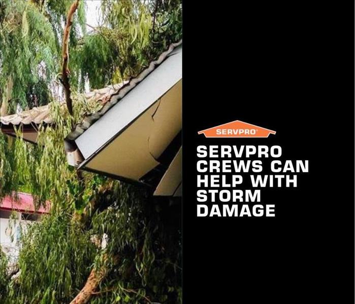 Split tree after storm damage on home with text that says SERVPRO crews can help with storm damage and SERVPRO logo