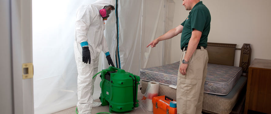 St. Augustine, FL mold removal process